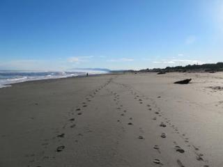 Shining Star Beachfront Accommodation Hokitika Buitenkant foto